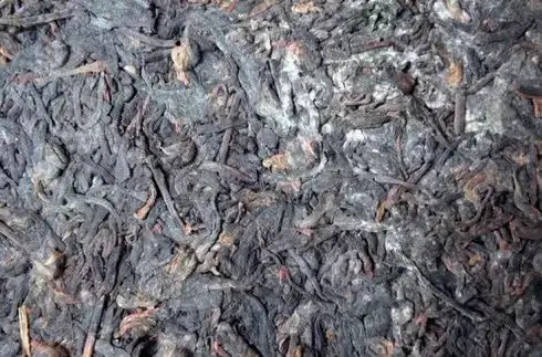 普洱茶泡了之后有霉味怎么辦？