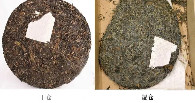 普洱茶怎么分辨干濕倉？