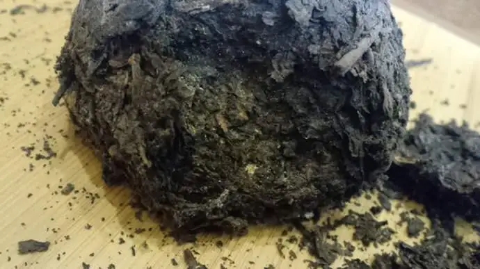 普洱茶蟲子怎么辦？