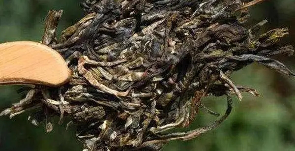 不同普洱茶生產(chǎn)地味道有哪些不同，不同派別的普洱茶味道又如何?