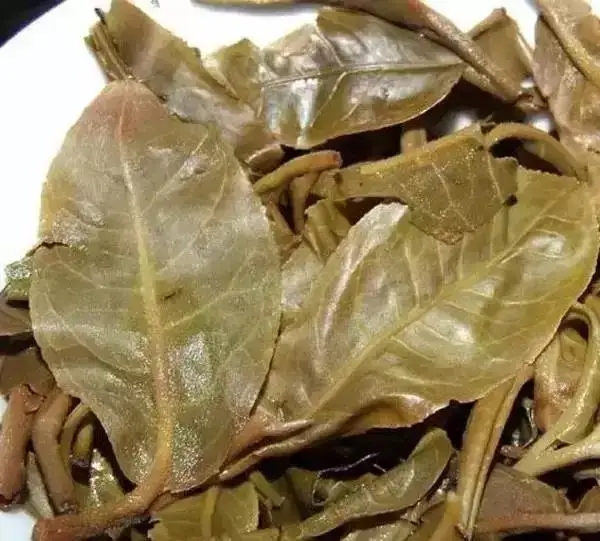 怎么看古樹普洱茶葉底？