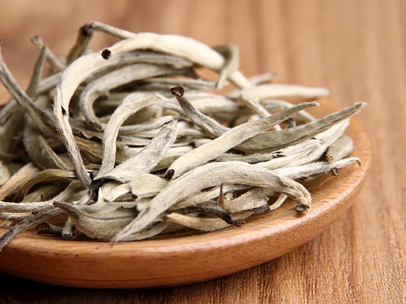 福鼎白茶、安吉白茶、云南月光白“三白”的區(qū)別