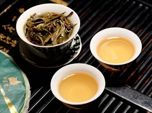 茶會(huì)“說(shuō)話”，讀懂云南古樹(shù)普洱茶的秘訣