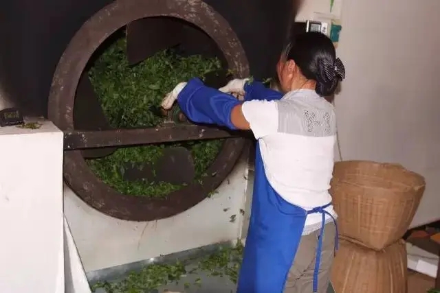 手工殺青與機(jī)器殺青的區(qū)別！