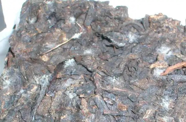 ?普洱茶發(fā)霉了怎么辦？教你妙招應對發(fā)霉的普洱茶！