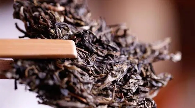 普洱生茶好還是普洱熟茶好喝？如何挑選適合自己的普洱茶？