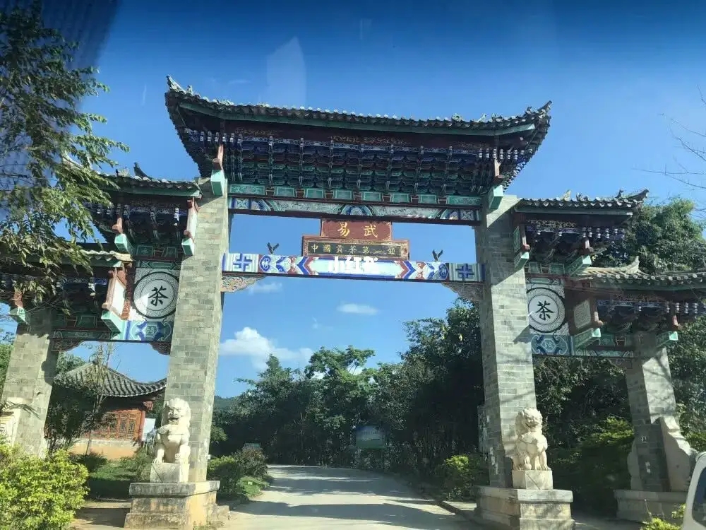 古樹茶年份越老，茶葉就越好嗎？影響茶葉品質(zhì)的因素有哪些？