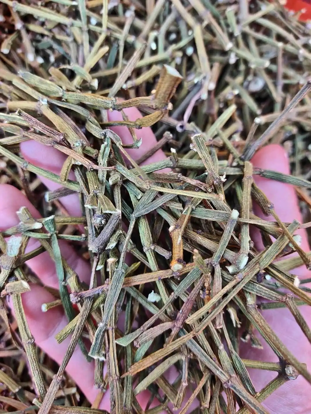 干貨 | 什么是茶界的螃蟹腳？