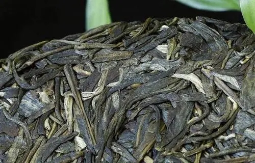 喝普洱茶，一定要喝老茶嗎？