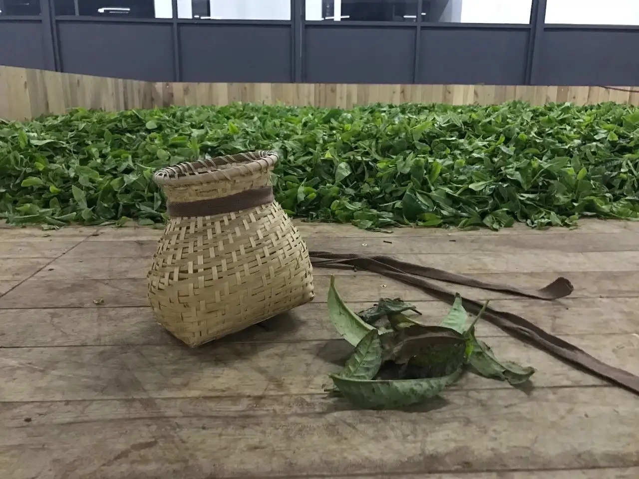 普洱茶，如果不談山頭，我們談什么？