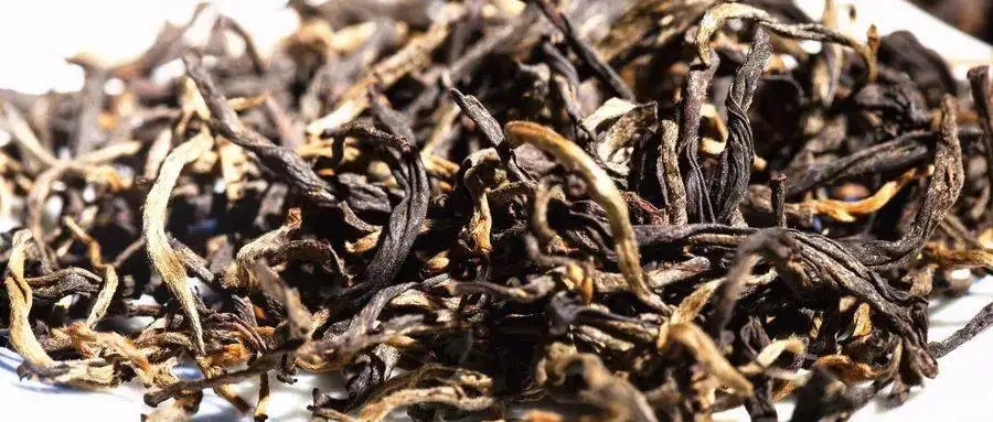 什么是茶氣？茶氣強(qiáng)勁又是一種怎樣的體驗(yàn)？