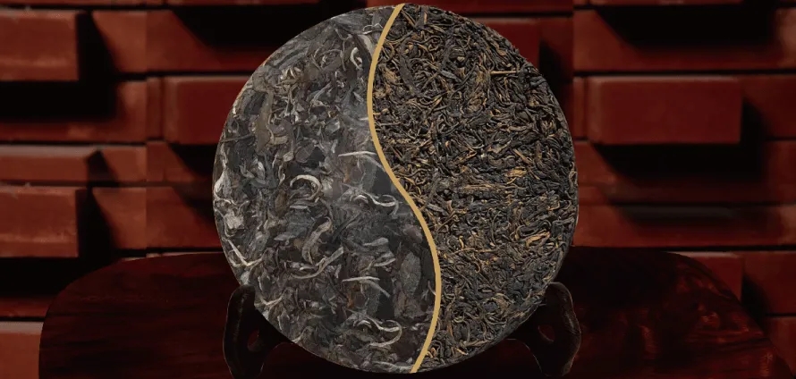 一入普門(mén)深似海？入普洱門(mén)前，你需要了解這些