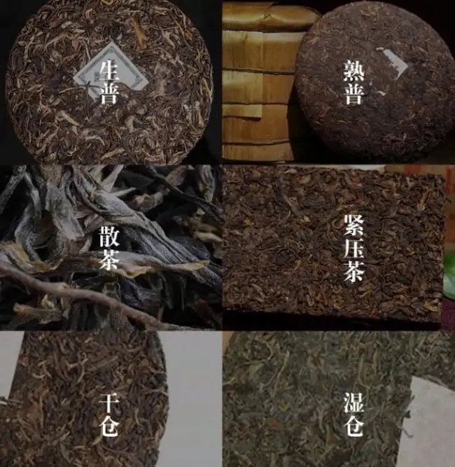 普洱茶不是越陳越香嗎？怎么也有最佳品飲期？