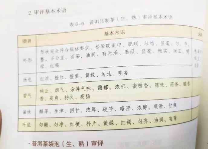 活學活用 ，一學就會的普洱茶口感術語