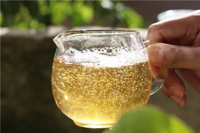 茶顏觀色”，看普洱茶條索里都蘊(yùn)含著怎樣的“密碼”？