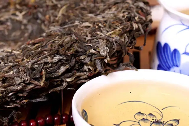 喝普洱茶，生茶和熟茶哪個更適合你？