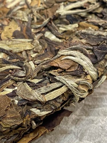 2023年拔瑪老寨古樹春茶特點是什么？