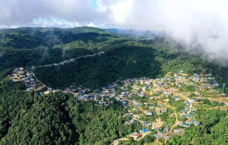 2023年帕沙古樹春茶口感怎么樣？