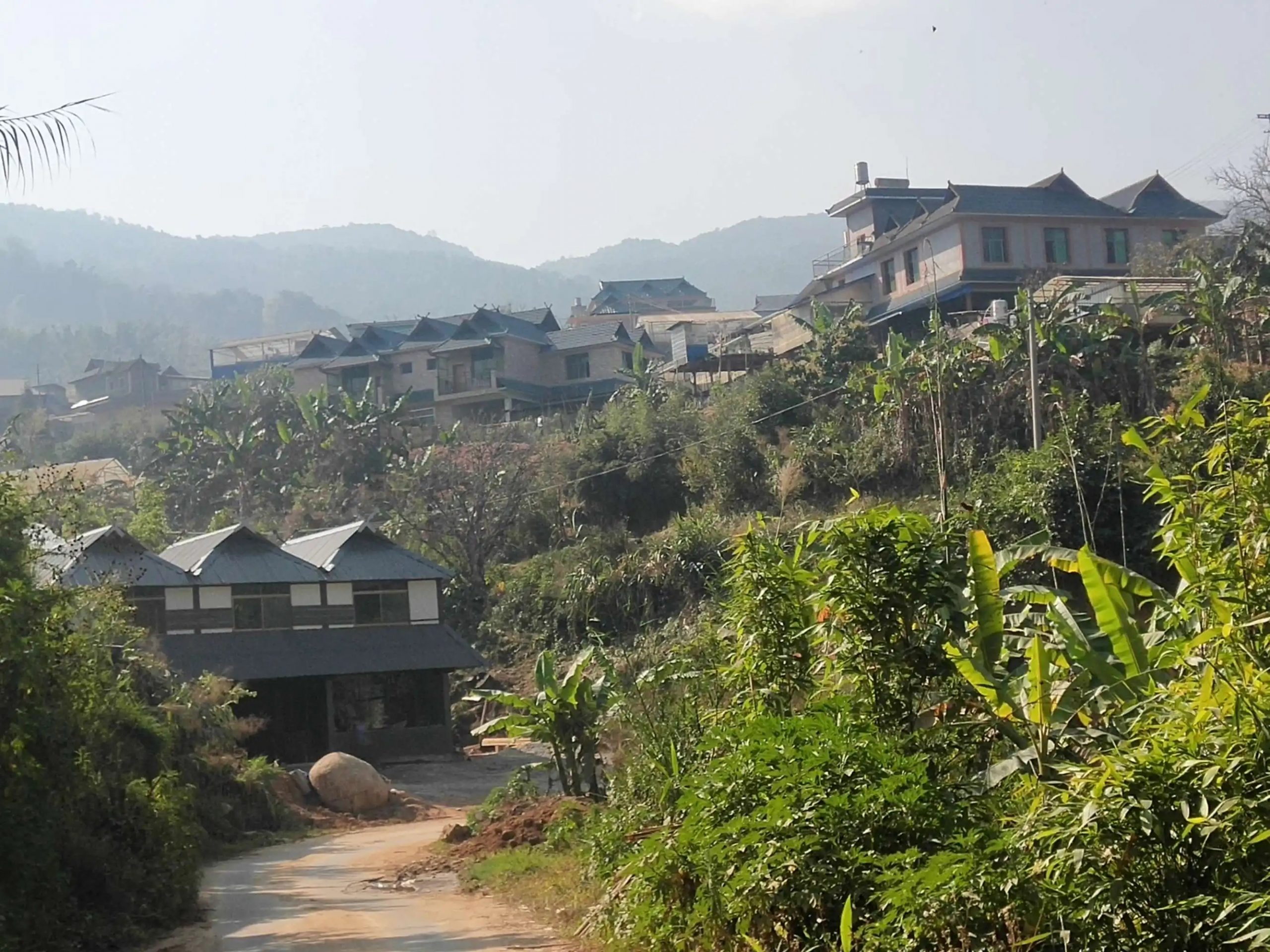 2023年帕沙古樹(shù)春茶價(jià)格多少錢(qián)？