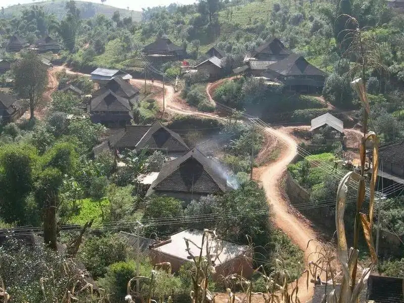 2023年保塘老寨古樹春茶品質(zhì)如何？