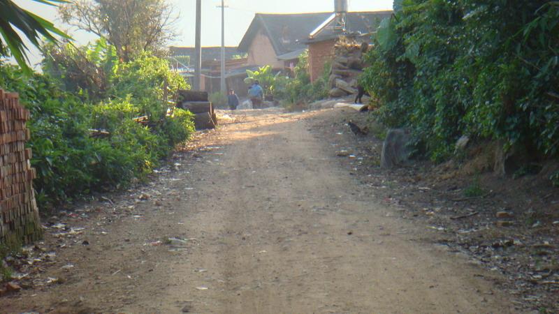 2023年保塘老寨古樹春茶價(jià)格是多少？