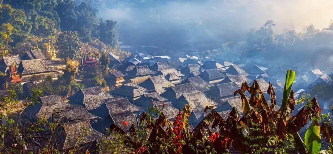 2023年景邁古樹春茶品質(zhì)如何？