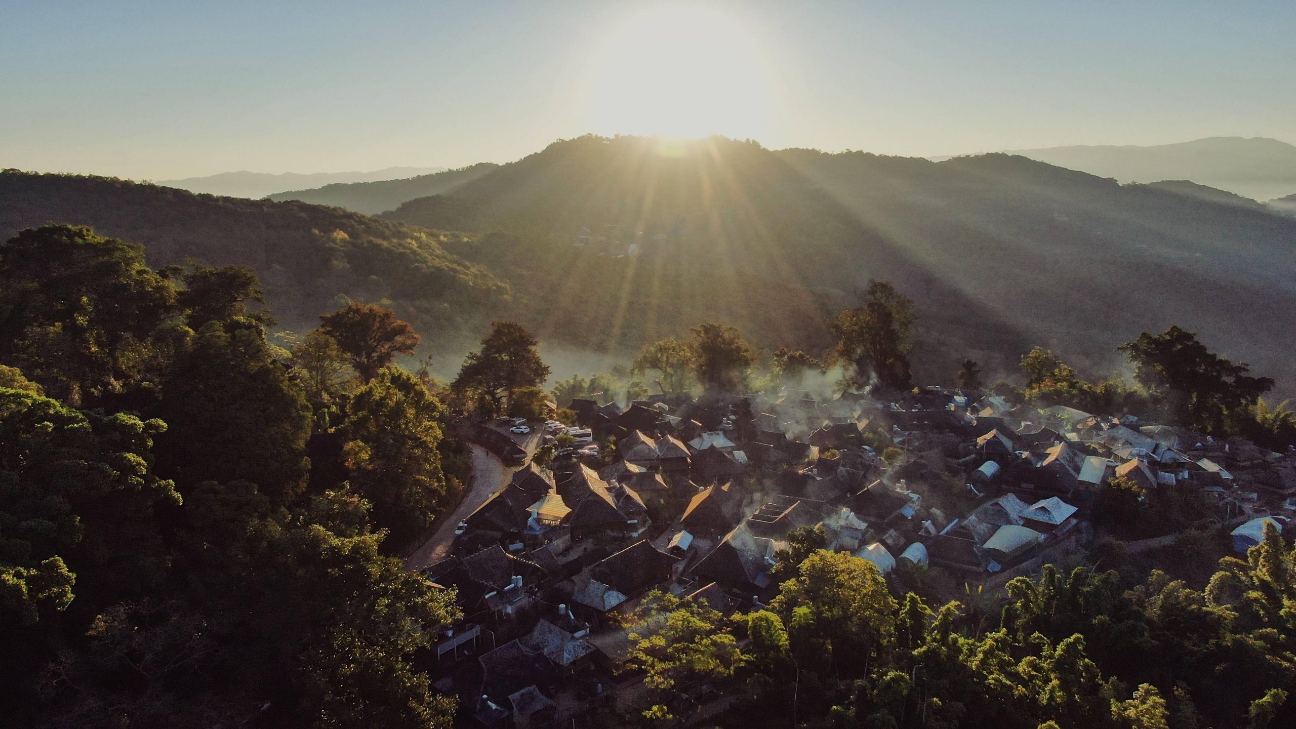 2023年景邁古樹春茶多少錢一公斤？