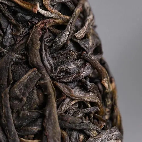 2023年迷帝古樹春茶價格是多少？