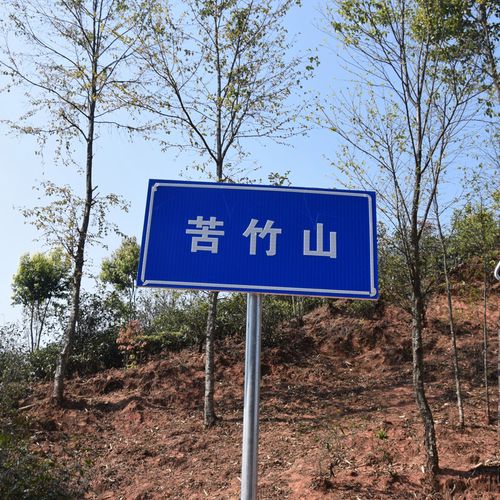 2023年苦竹山古樹春茶品質(zhì)如何？