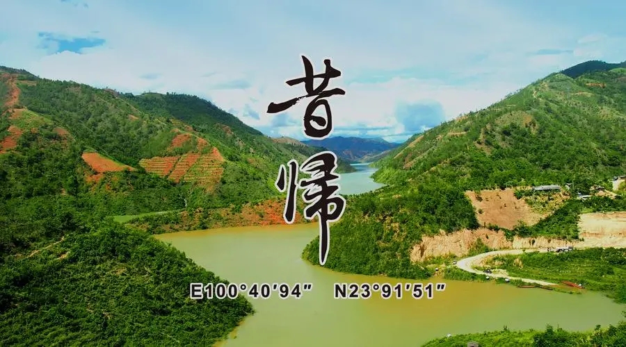 2023年昔歸古樹春茶品質(zhì)如何？