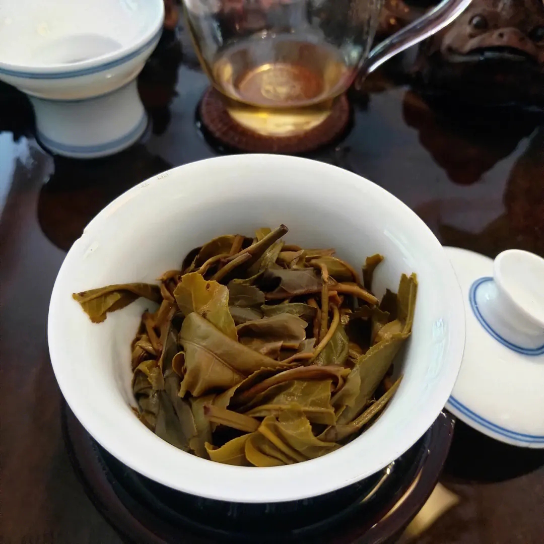 2023年昔歸古樹春茶口感如何？