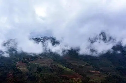 2023年勐庫(kù)大忠山古樹(shù)春茶口感如何？