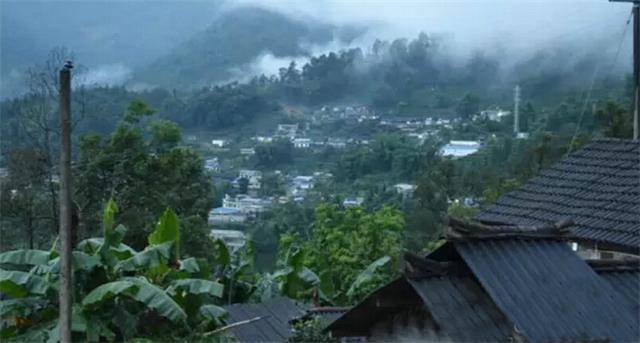 2023年勐庫豆腐寨古樹春茶口感怎么樣？