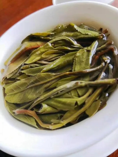 2023年鍋底塘古樹(shù)春茶特點(diǎn)是什么？