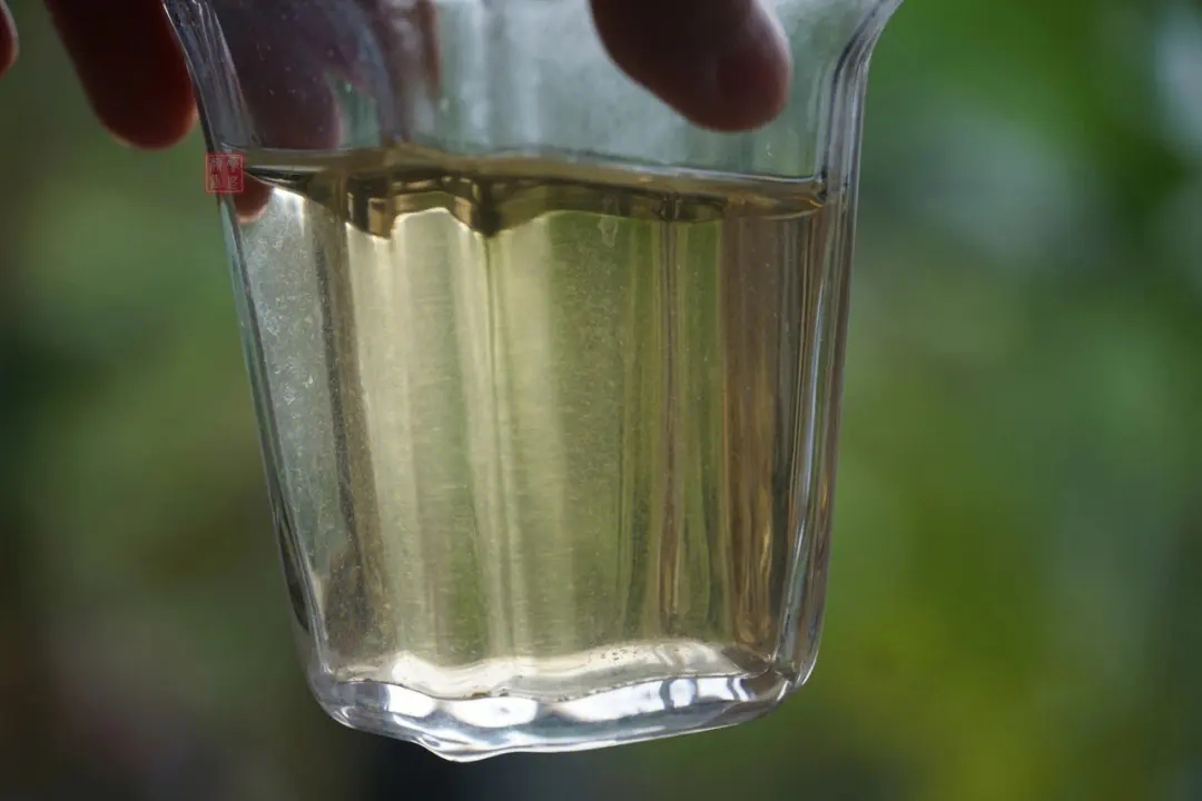 2023年多依樹古樹春茶價(jià)格是多少？