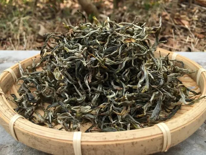 2023年易武張家灣古樹(shù)春茶品質(zhì)如何？