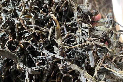 2023年鎮(zhèn)沅老烏山古樹春茶多少一公斤？