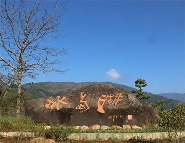 2024年冰島老寨古樹春茶品質(zhì)怎么樣？