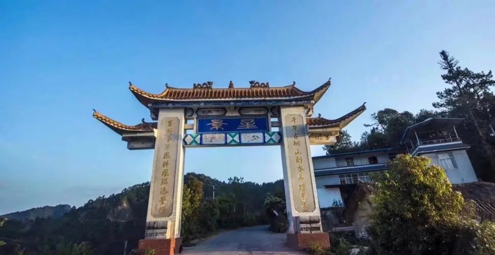 2024年墨江鳳凰窩古樹春茶特點(diǎn)是什么？