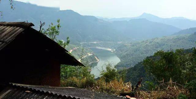 2024年磨烈古樹春茶價(jià)格多少？