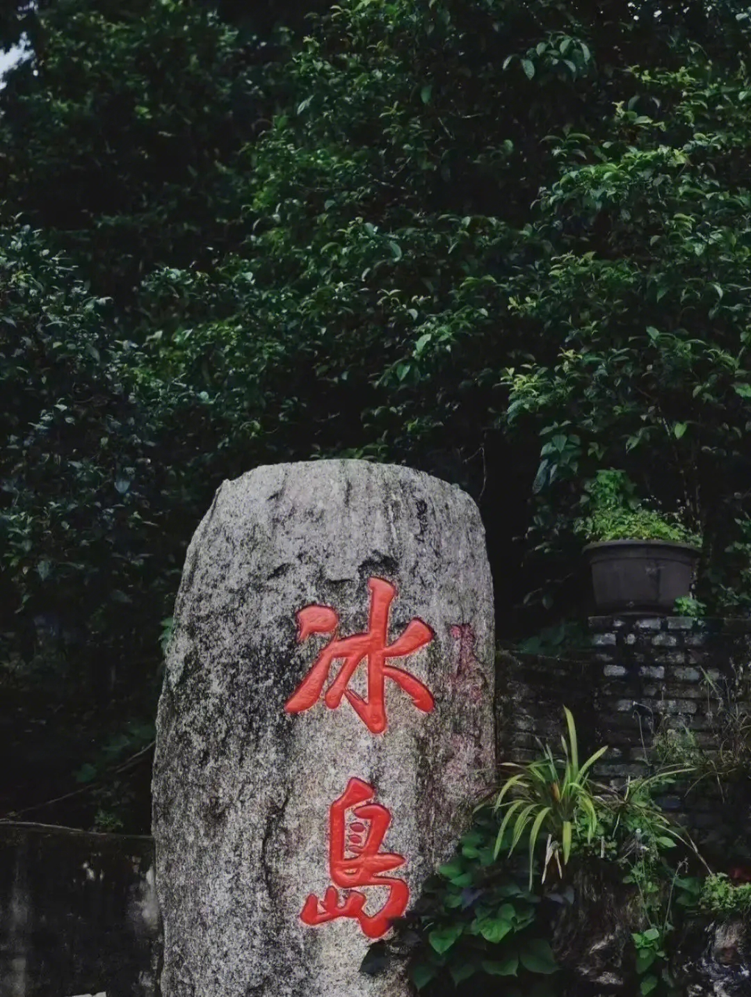 普洱茶十大名山