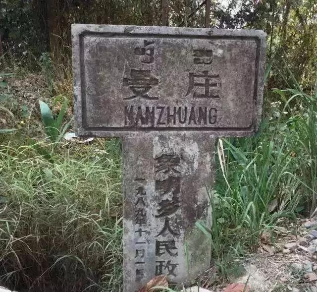 2025年蠻磚古樹春茶價格是多少?